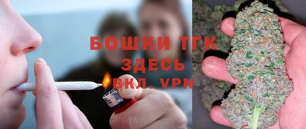гидра Алексеевка